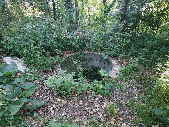 Un pozzo all'interno delle rovine di Susedgrad