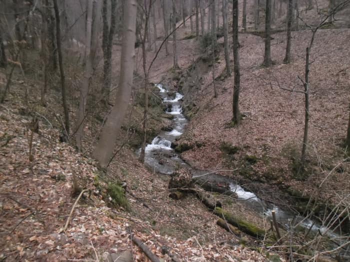 Chemin près de Medvedgrad