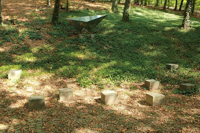 Valley of Graves, ivy-covered ground in the forest